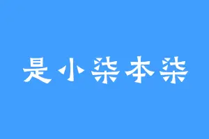 是小柒本柒